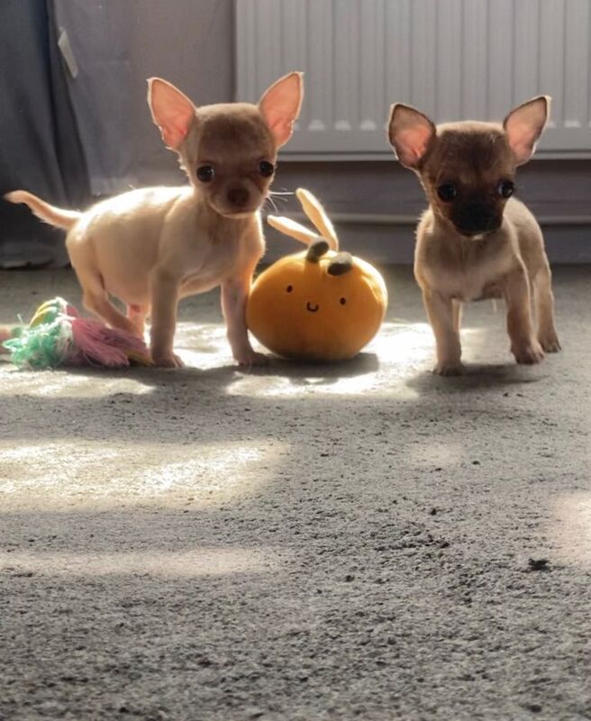 Ready NOW only two boys left.