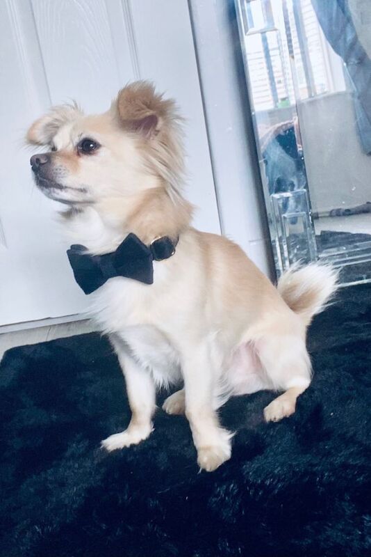 Ruudy Boy ️