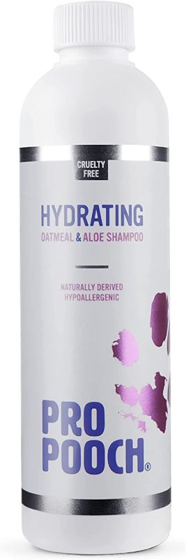 Chihuahua puppies for sale in – a few seconds old